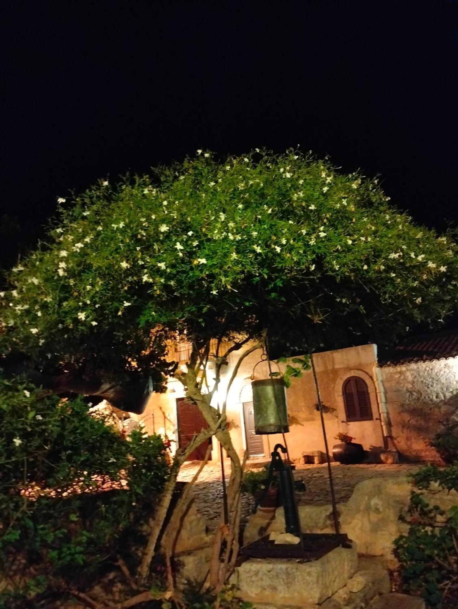 I Dammusi Villa ซานตาโกรเชกาเมรีนา ภายนอก รูปภาพ